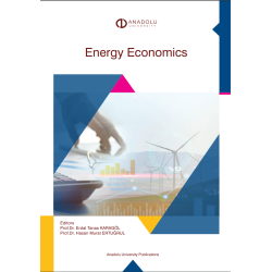 ENERGY ECONOMICS